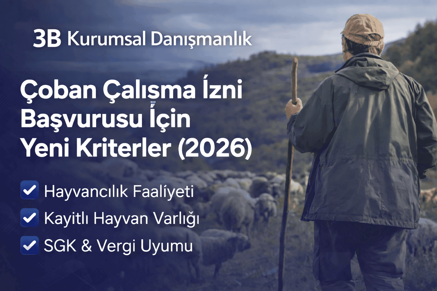 Çoban çalışma izni başvurusu için yeni kriterler (2026) – duyuru
